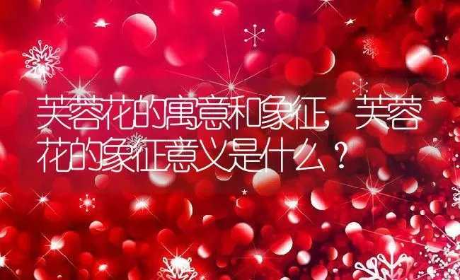 芙蓉花的寓意和象征,芙蓉花的象征意义是什么？ | 养殖常见问题