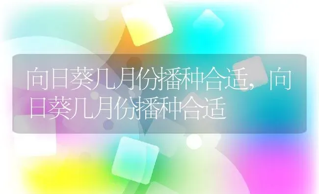 向日葵几月份播种合适,向日葵几月份播种合适 | 养殖常见问题