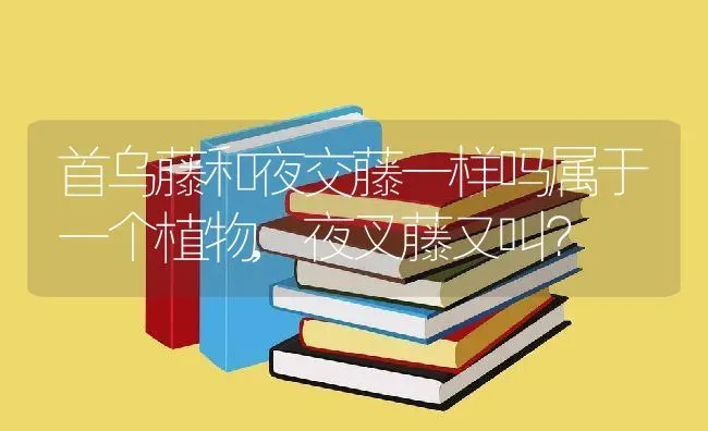 首乌藤和夜交藤一样吗属于一个植物,夜叉藤又叫？ | 养殖常见问题