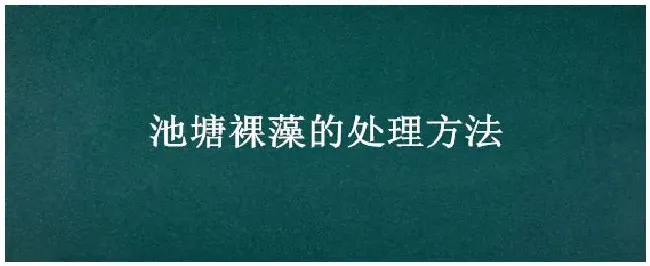 池塘裸藻的处理方法 | 生活常识