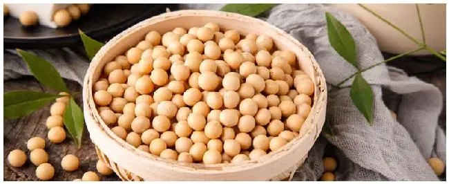 大豆什么时候浇水 | 农业问题