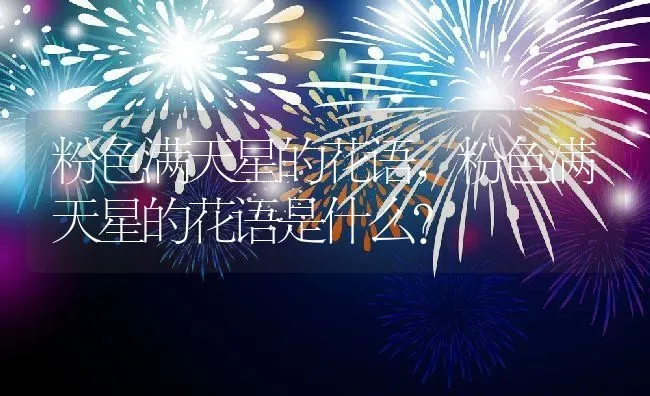粉色满天星的花语,粉色满天星的花语是什么？ | 养殖常见问题