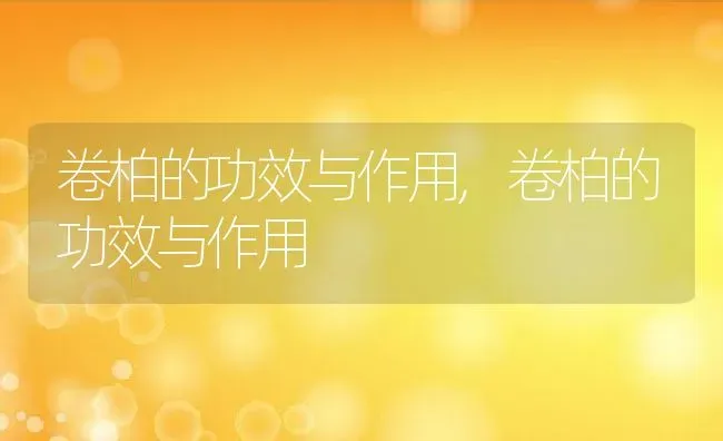 卷柏的功效与作用,卷柏的功效与作用 | 养殖常见问题