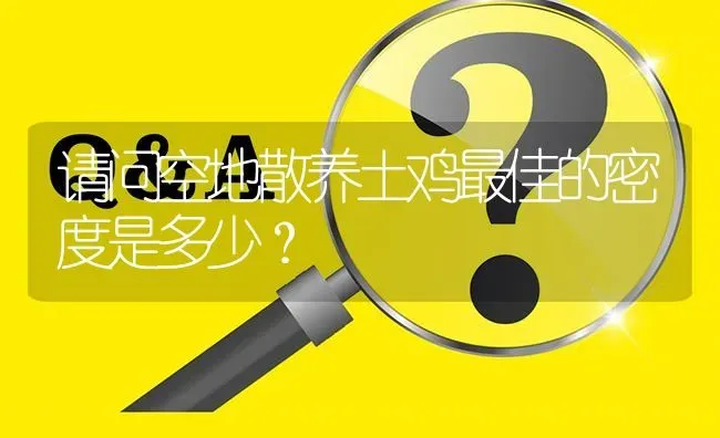 请问空地散养土鸡最佳的密度是多少? | 养殖问题解答