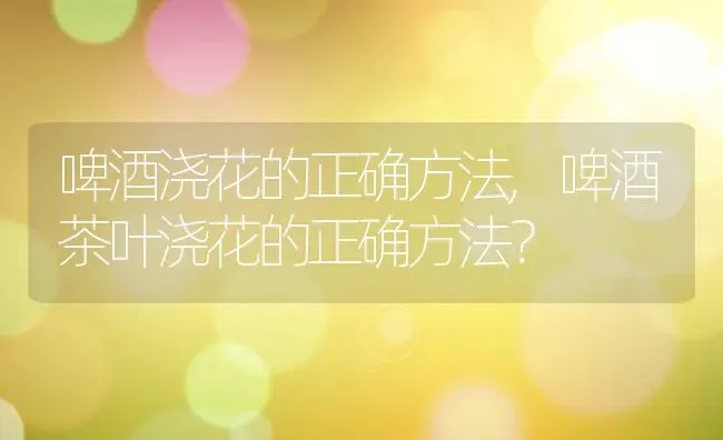 啤酒浇花的正确方法,啤酒茶叶浇花的正确方法？ | 养殖常见问题