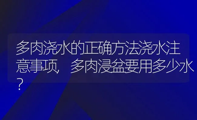 多肉浇水的正确方法浇水注意事项,多肉浸盆要用多少水？ | 养殖常见问题