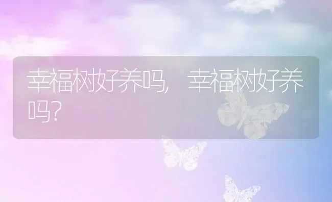 五彩椒能吃吗,五彩苹果椒能不能吃？ | 养殖常见问题