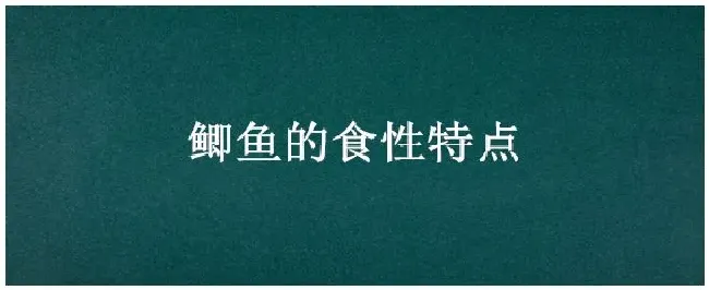 鲫鱼的食性特点 | 农业问题