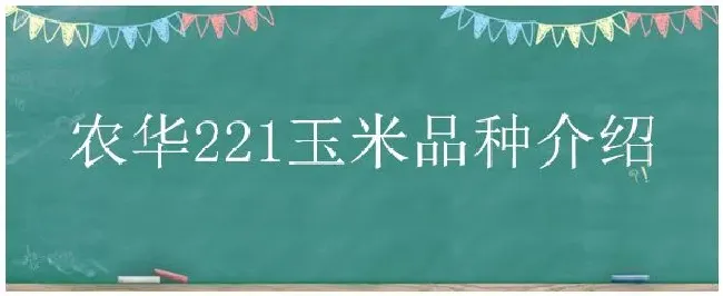 农华221玉米品种介绍 | 三农答疑