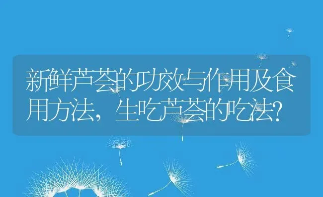 新鲜芦荟的功效与作用及食用方法,生吃芦荟的吃法？ | 养殖常见问题