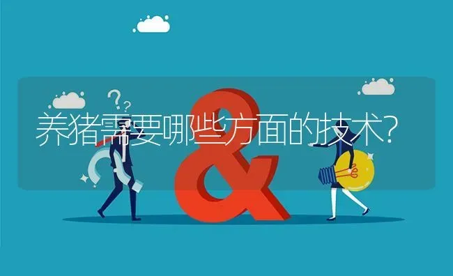 养猪需要哪些方面的技术? | 养殖问题解答