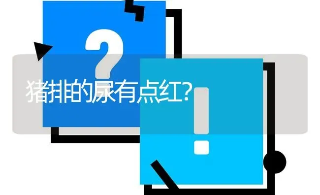 猪排的尿有点红? | 养殖问题解答