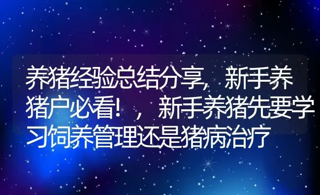 养猪经验总结分享,新手养猪户必看!,新手养猪先要学习饲养管理还是猪病治疗 | 养殖常见问题
