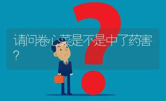 请问卷心菜是不是中了药害? | 养殖问题解答