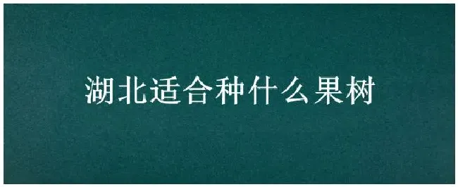 湖北适合种什么果树 | 三农答疑