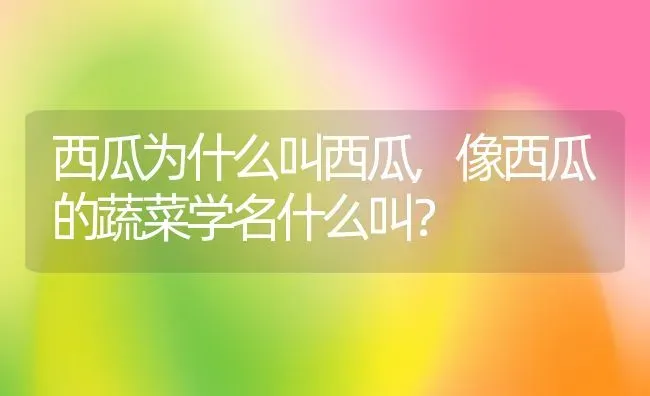 西瓜为什么叫西瓜,像西瓜的蔬菜学名什么叫？ | 养殖常见问题