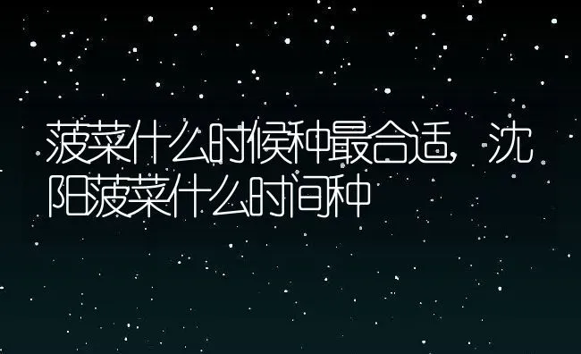 菠菜什么时候种最合适,沈阳菠菜什么时间种 | 养殖常见问题