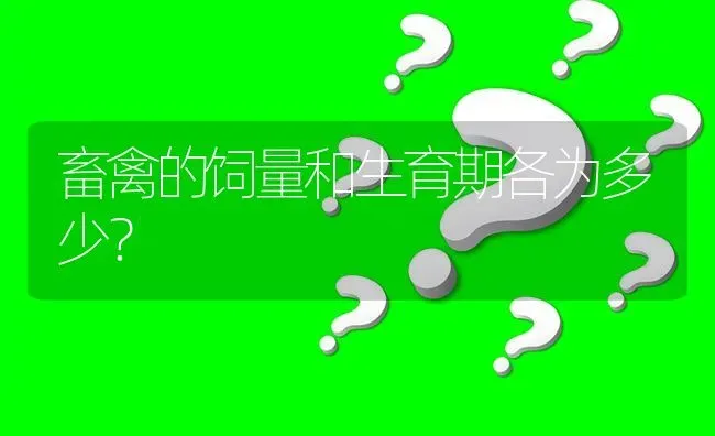 畜禽的饲量和生育期各为多少? | 养殖问题解答