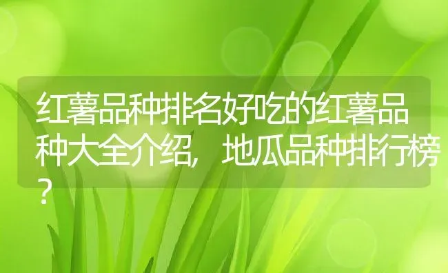 红薯品种排名好吃的红薯品种大全介绍,地瓜品种排行榜？ | 养殖常见问题