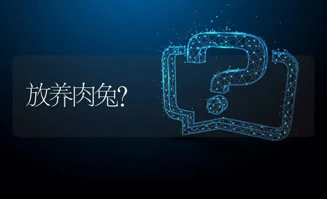 放养肉兔? | 养殖问题解答