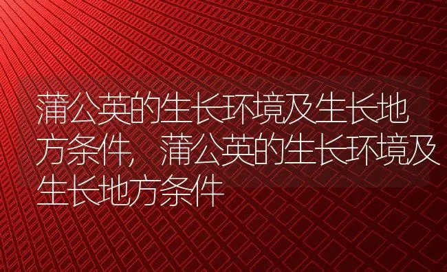 蒲公英的生长环境及生长地方条件,蒲公英的生长环境及生长地方条件 | 养殖常见问题