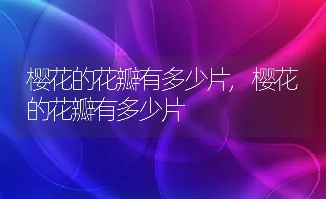 樱花的花瓣有多少片,樱花的花瓣有多少片 | 养殖常见问题