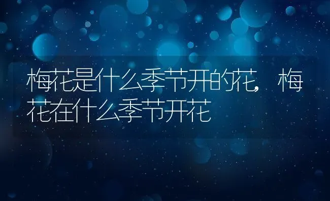 梅花是什么季节开的花,梅花在什么季节开花 | 养殖常见问题