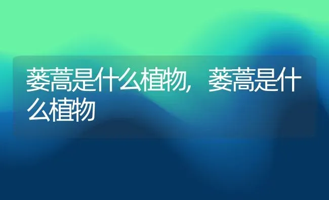 蒌蒿是什么植物,蒌蒿是什么植物 | 养殖常见问题