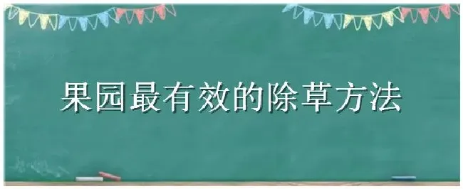 果园最有效的除草方法 | 农业答疑