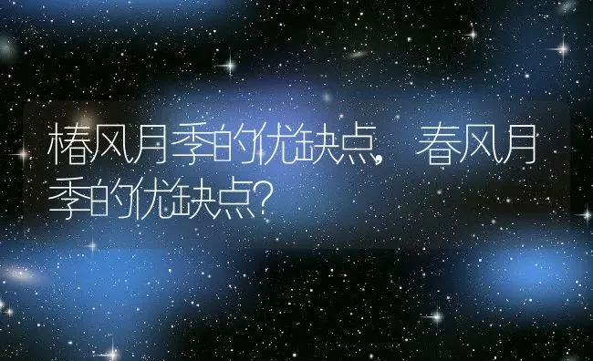 椿风月季的优缺点,春风月季的优缺点？ | 养殖常见问题