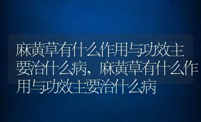 麻黄草有什么作用与功效主要治什么病,麻黄草有什么作用与功效主要治什么病 | 养殖常见问题