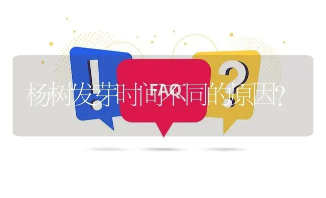 杨树发芽时间不同的原因? | 养殖问题解答