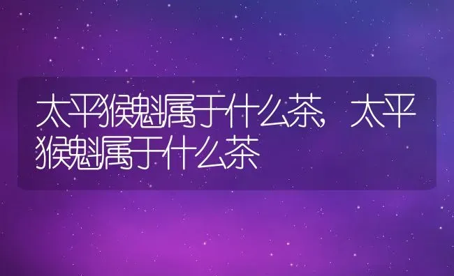 太平猴魁属于什么茶,太平猴魁属于什么茶 | 养殖常见问题