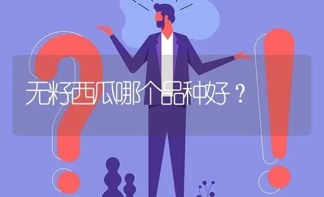 无籽西瓜哪个品种好? | 养殖问题解答