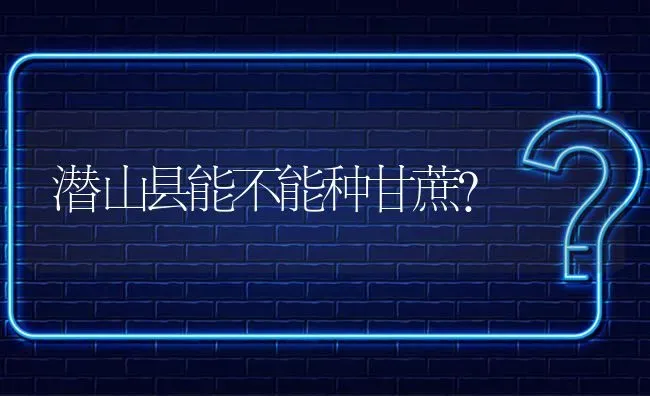 潜山县能不能种甘蔗? | 养殖问题解答