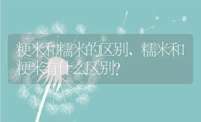 粳米和糯米的区别,糯米和粳米有什么区别？ | 养殖常见问题