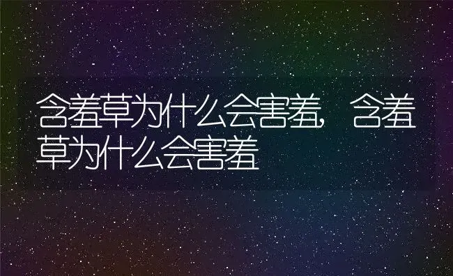 含羞草为什么会害羞,含羞草为什么会害羞 | 养殖常见问题