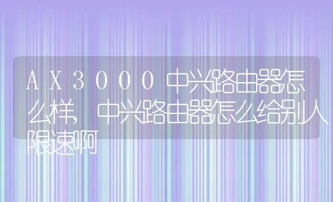 AX3000中兴路由器怎么样,中兴路由器怎么给别人限速啊 | 养殖常见问题