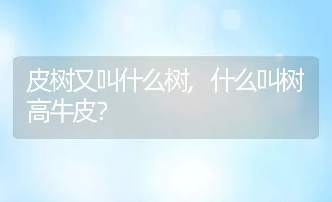 皮树又叫什么树,什么叫树高牛皮？ | 养殖常见问题