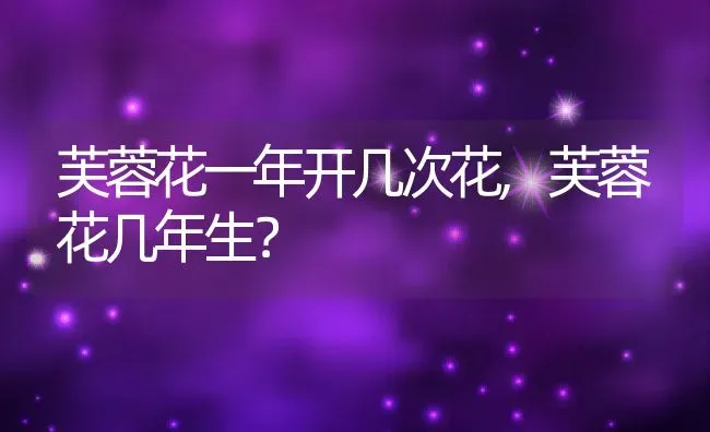 芙蓉花一年开几次花,芙蓉花几年生？ | 养殖常见问题