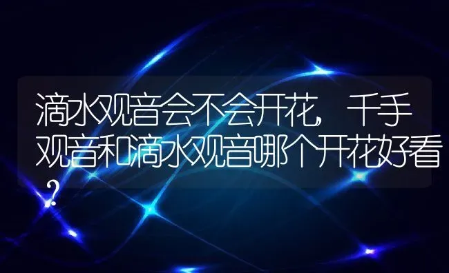 滴水观音会不会开花,千手观音和滴水观音哪个开花好看？ | 养殖常见问题