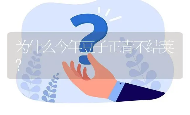 为什么今年豆子正青不结荚? | 养殖问题解答
