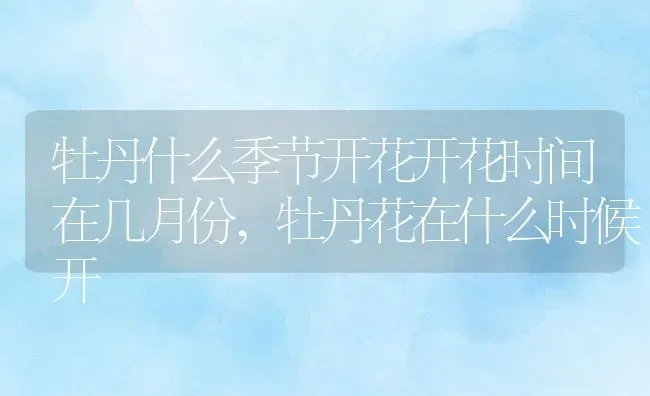 牡丹什么季节开花开花时间在几月份,牡丹花在什么时候开 | 养殖常见问题