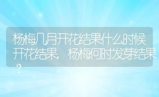 杨梅几月开花结果什么时候开花结果,杨梅何时发芽结果？ | 养殖常见问题