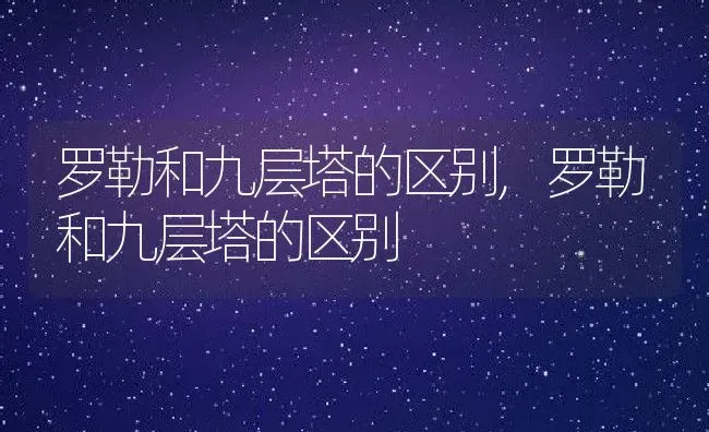 罗勒和九层塔的区别,罗勒和九层塔的区别 | 养殖常见问题