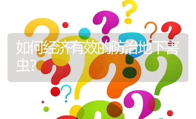 如何经济有效的防治地下害虫? | 养殖问题解答