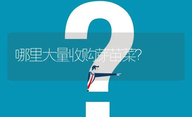 哪里大量收购芽苗菜? | 养殖问题解答