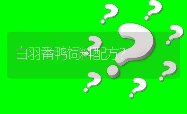 白羽番鸭饲料配方? | 养殖问题解答