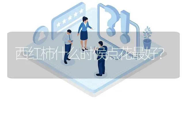 西红柿什么时候点花最好? | 养殖问题解答