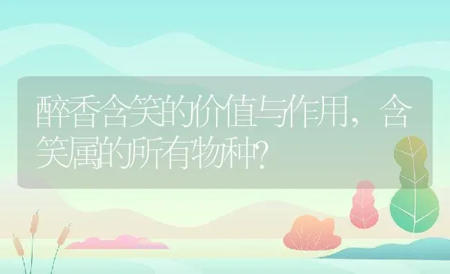 醉香含笑的价值与作用,含笑属的所有物种？ | 养殖常见问题